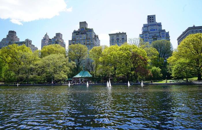Kaplan International Languages <br/>NEW YORK