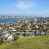 LSI AUCKLAND
